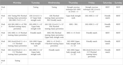 Effects of variable intensity and constant intensity flywheel resistance training programs on specific soccer players’ performance